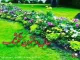 استوری روز خوش بسیار زیبا
