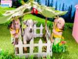برنامه کودک بچه میمون - بازی با نوشابه کوکاکولا - توله سگ و میمون بازیگوش