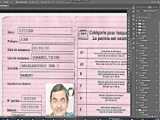 Malaysia drivers permit template in PSD format  fully editable