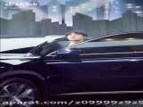 توضیحات درباره گربه  ها