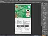 Panama drivers permit template in PSD format  fully editable