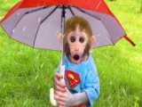 یک روز سرگرم کننده با بچه میمون :: حیوانات خانگی :: میمون بازیگوش