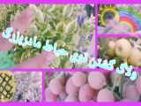 ولاگ رفتن به خانسار