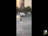 حرکات جنون‌آمیز راننده پژو در خیابان‌های اهواز