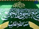 کلیپ  هوش حیوانات 2