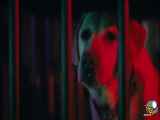 دانلود فیلم توله سگ‌های فضایی Space Pups 2023 دوبله فارسی