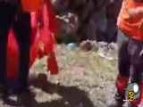فیلم حمله وحشتناک یک خرس‌ و توله‌هایش به چادر کوهنوردان ایرانی