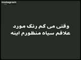 وقتی می گم رنگ مورد علاقم .....