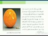 تدریس درس دوم علوم تجربی نهم