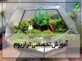 آموزش ساخت تراریوم کوچیک وساده