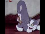 کارتون موش و گربه تام و جری Tom And Jerry قسمت ۲۰