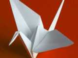 آموزش ساخت اوریگامی پروانه