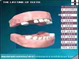 میم های شگفت انگیزان::::::دندان پزشکی