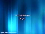 شکار هنزمندانه