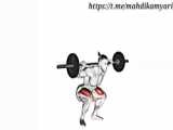 زیر بغل هالتر خم یا پارویی با هالتر[Bent Over Barbell Row]