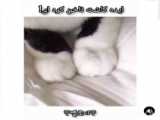 ایده کاشت ناخن!!
