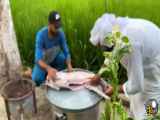 غذای روستایی؛ پخت بریانی بره 14 کیلوگرمی با یخنی پلو