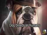 اگر نژاد های مختلف سگ ها انسان بودند