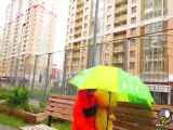 برنامه کودک ولاد و نیکی ولاد و نیکیتا