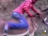 فیلم واقعی پلنگ صورتی وحشی