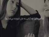 ویدیو ی لاتی حیوانات