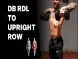 نشر سرشانه خم به قایقی دمبل آرنج بالا / DB rear deltoid fly to high row