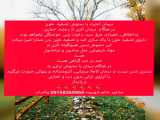 16-درمان اعتیاد (دارو)(کلیات)(1)