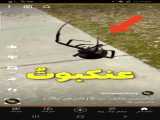 عقاب و مرغ