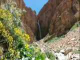 طبیعت را نگاه کن
