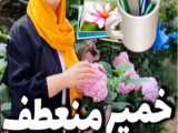 ایده هنری فوق العاده و اجسام بسیار ریز