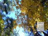 موزیک ویدئو تیک نوشت
