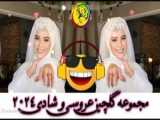 ری اکشن جالب و بامزه سگ و گربه به طوطی