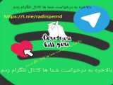 ولی گربه...
