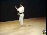 اجرای کاتای هیان ساندان کاراته سبک شوتوکان توسط استاد هیرکازو کانازاوا