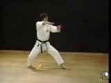 اجرای کاتای هیان یوندان کاراته سبک شوتوکان توسط استاد هیرکازو کانازاوا
