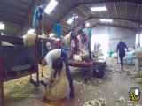 (ویدئو) ببینید انگلیسی ها با پشم گوسفند چه محصولات شگفت انگیزی در کارخانه تولید