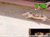 داوطلبانه