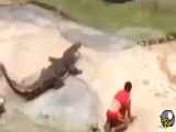 حوادث واقعی و  جالب  حیات وحش  حمله حیوانات به انسان