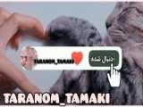 چیز_کیک_تیرامیسو