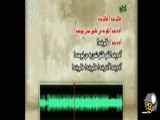 آهنگ یک خواننده ایرانی وقتی برگردان یا ریورز شد ...