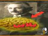 چه کسی مغز انشتین را دزدید و چه بلایی برسر مغز انیشتین آمد؟