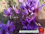 حماسه آفرینی گیلانی ها در راهپیمایی ۱۳ آبان