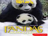 دانلود رایگان پانداها: بازگشت به خانه Pandas: The Journey Home 2014