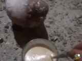 حیونکی چندروزغذانخورده که.....