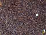 کهکشان آندرومدا شامل صد میلیون ستاره