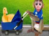 بازی و سرگرمی با بچه میمون :: پیاده روی با جوجه اردک :: حیوانات خانگی باهوش