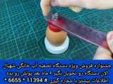 کلیپ های جالب از حیوانات