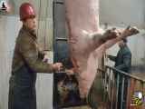 کارخانه فرآوری گوشت خوک