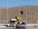 حرکت عجیب و خطرناک یک جوان در شهرستان فرخشهر