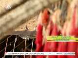 موزیک ویدئو ترکی سن سن